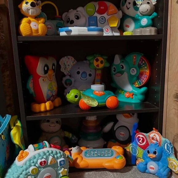 Fisher-Price Other - Fisher Price linkimals set bundle.